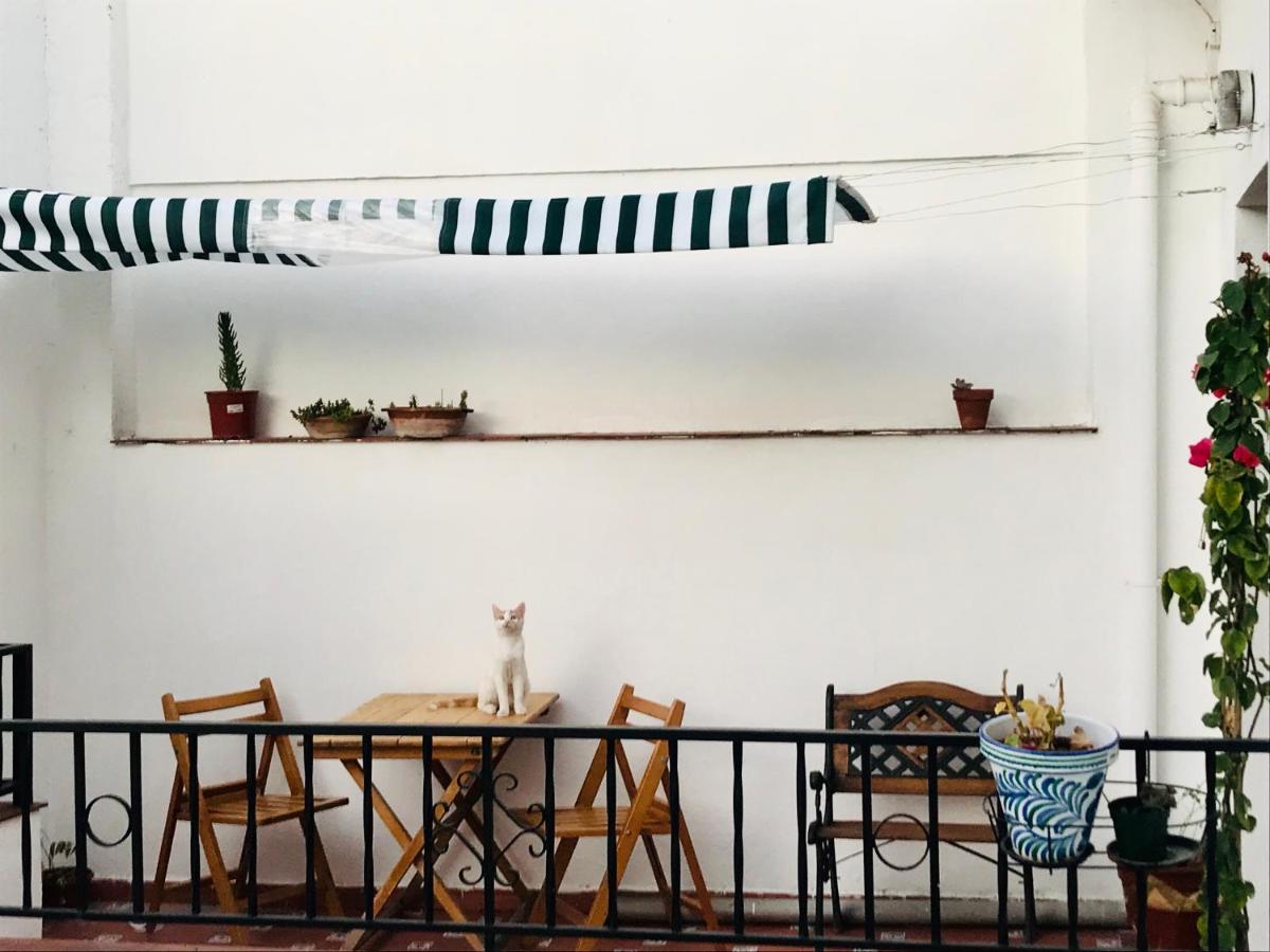 La Morada Sur Apartment Granada Luaran gambar
